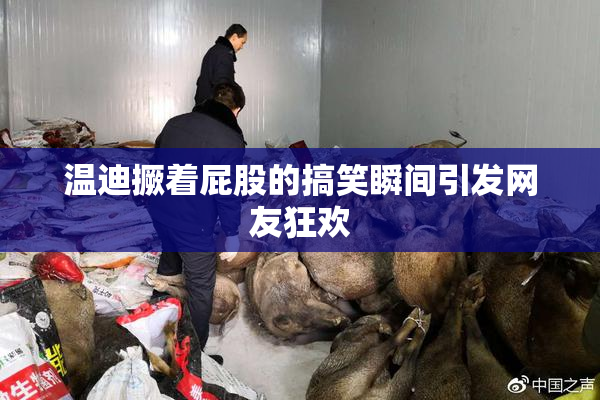 温迪撅着屁股的搞笑瞬间引发网友狂欢