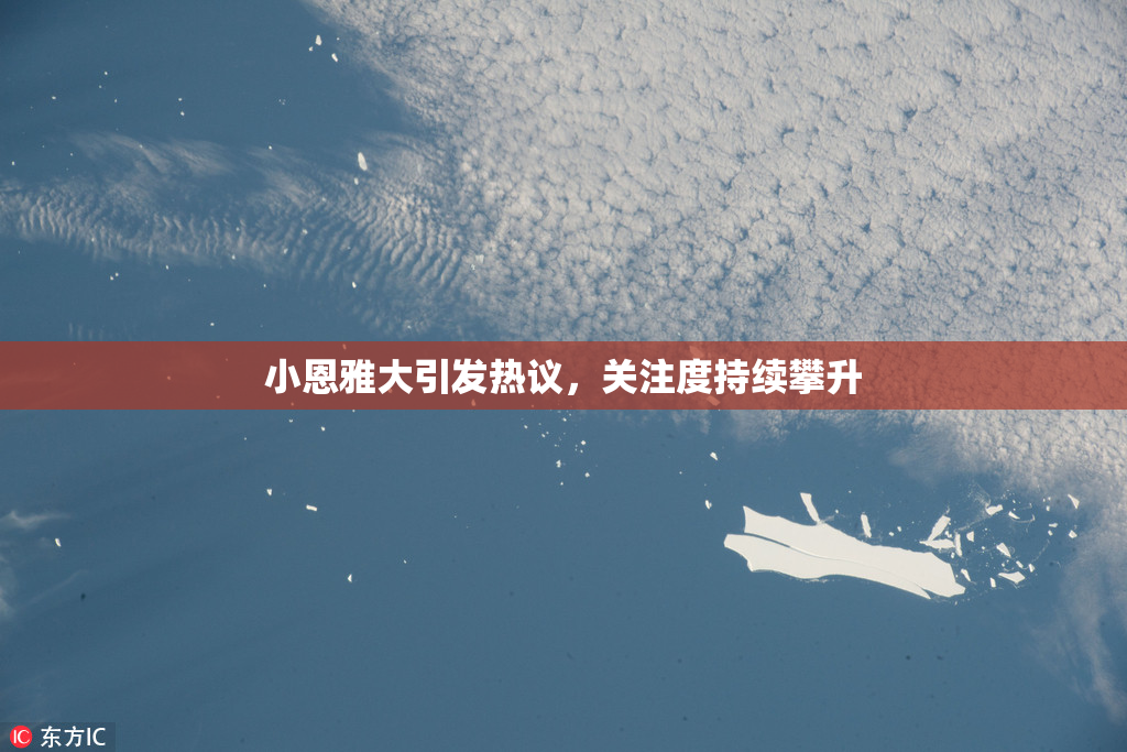 小恩雅大引发热议，关注度持续攀升