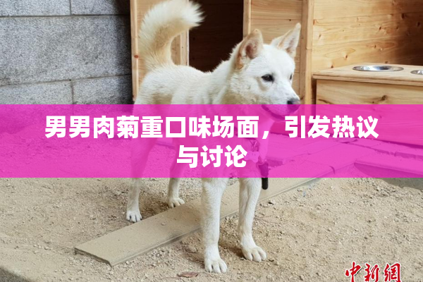 男男肉菊重口味场面，引发热议与讨论