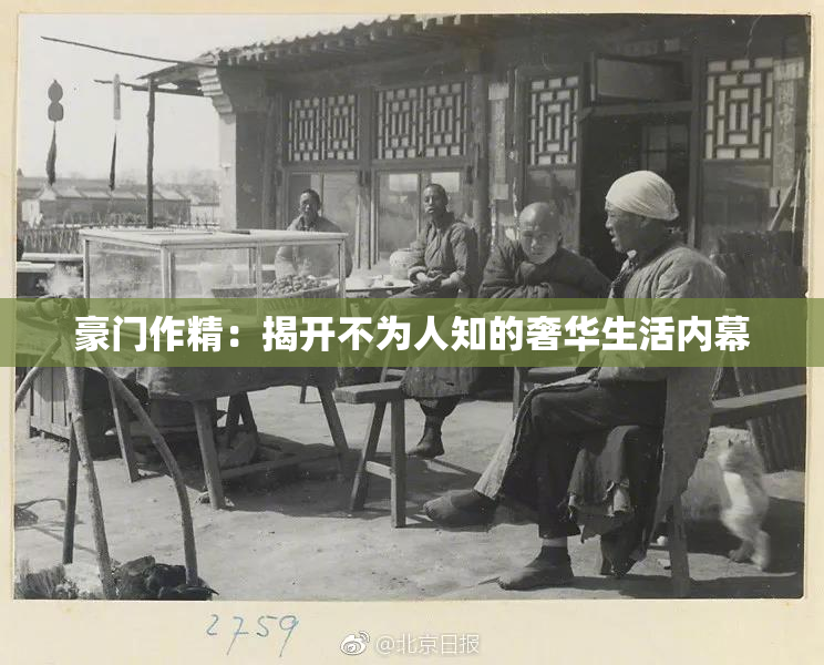 豪门作精：揭开不为人知的奢华生活内幕