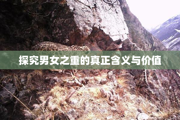 探究男女之重的真正含义与价值