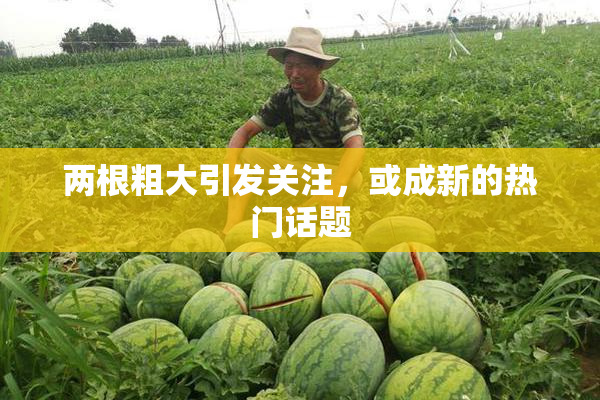 两根粗大引发关注，或成新的热门话题