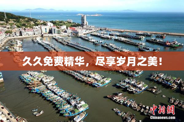 久久免费精华，尽享岁月之美！