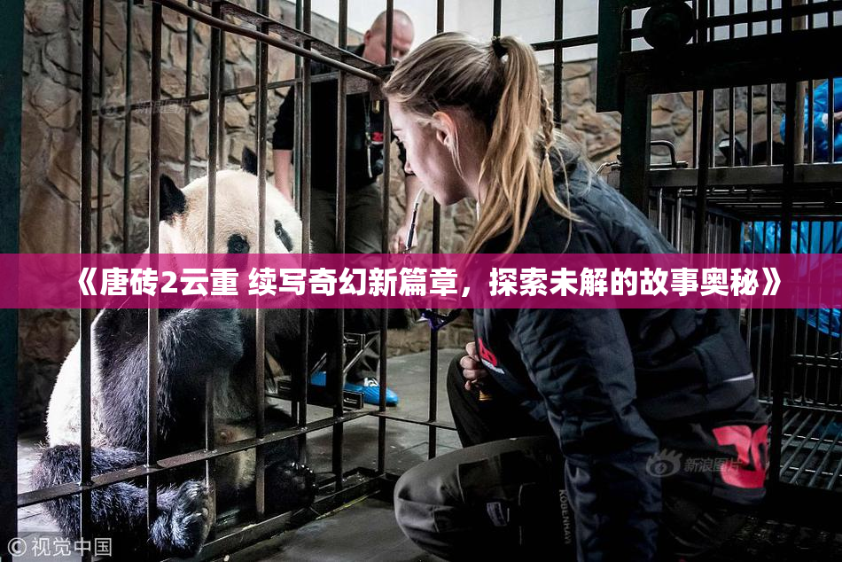 《唐砖2云重 续写奇幻新篇章，探索未解的故事奥秘》
