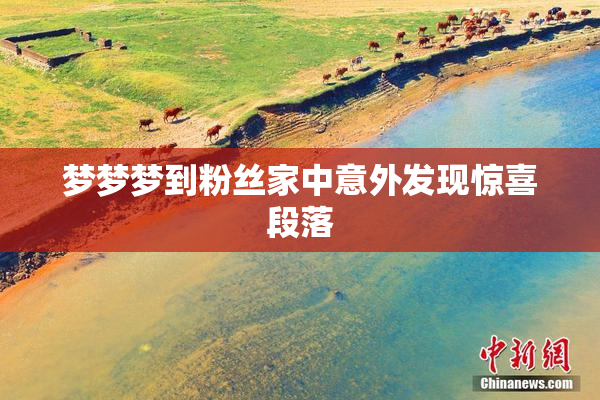 梦梦梦到粉丝家中意外发现惊喜段落