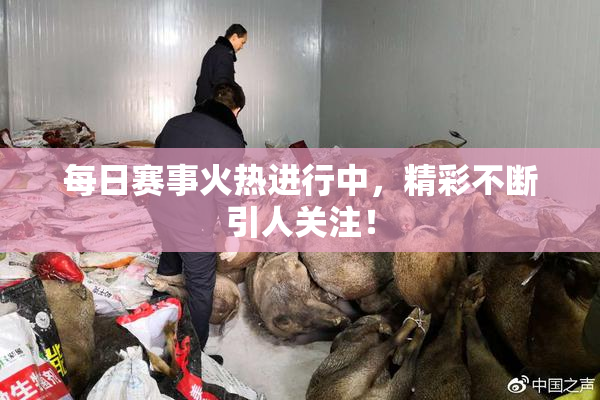 每日赛事火热进行中，精彩不断引人关注！