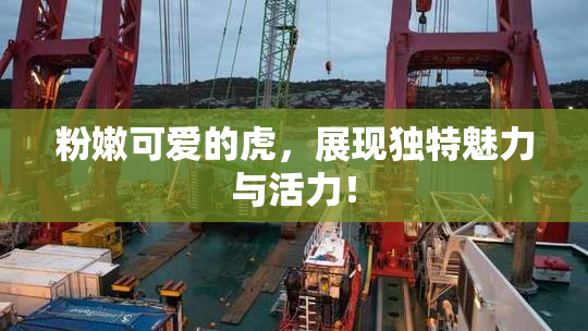粉嫩可爱的虎，展现独特魅力与活力！