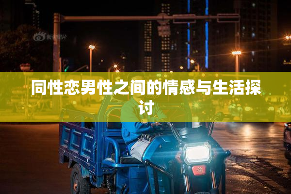 同性恋男性之间的情感与生活探讨