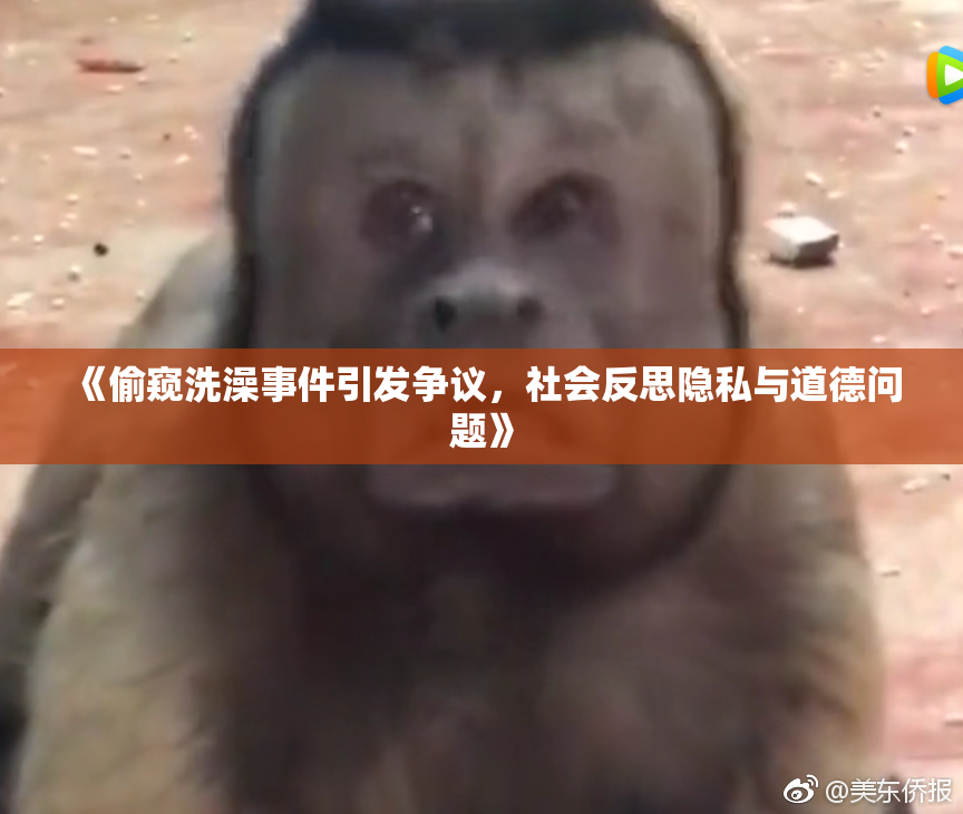 《偷窥洗澡事件引发争议，社会反思隐私与道德问题》