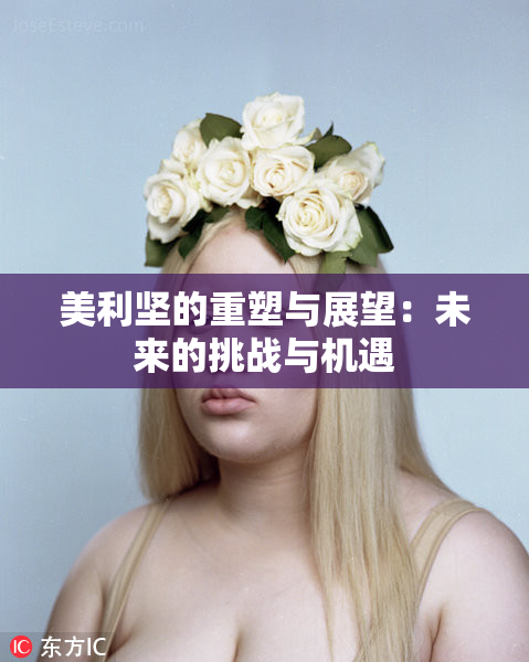 美利坚的重塑与展望：未来的挑战与机遇