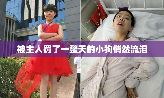 被主人罚了一整天的小狗悄然流泪
