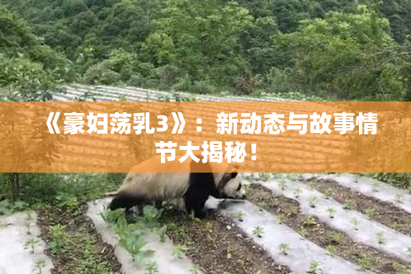 《豪妇荡乳3》：新动态与故事情节大揭秘！