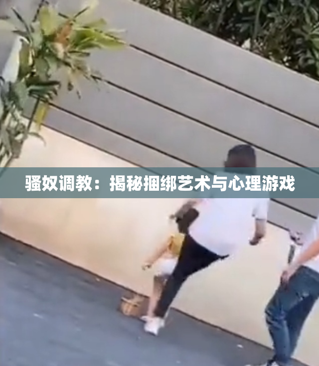 骚奴调教：揭秘捆绑艺术与心理游戏