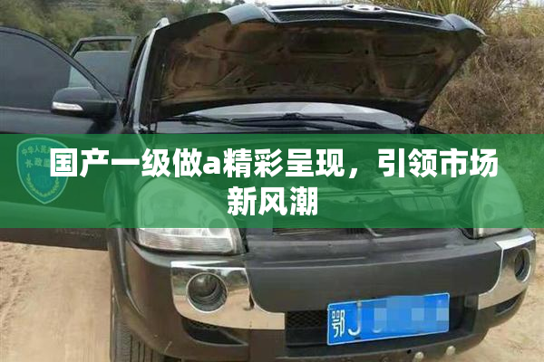 国产一级做a精彩呈现，引领市场新风潮