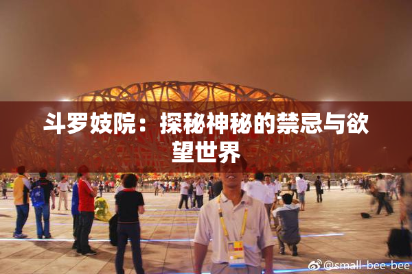 斗罗妓院：探秘神秘的禁忌与欲望世界