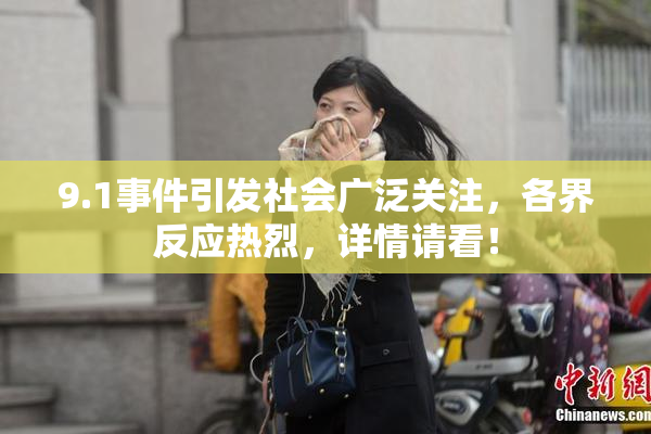 9.1事件引发社会广泛关注，各界反应热烈，详情请看！
