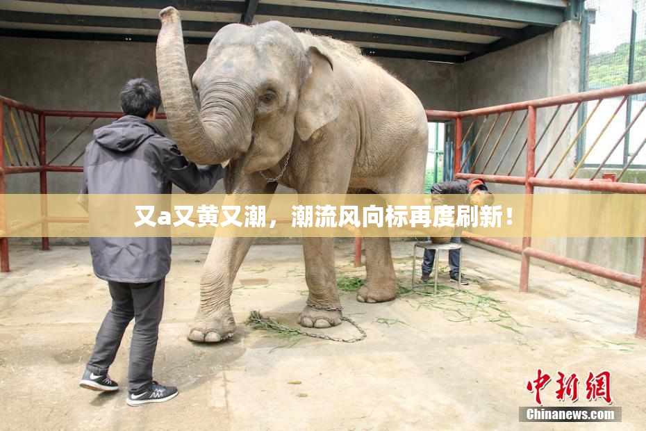 又a又黄又潮，潮流风向标再度刷新！
