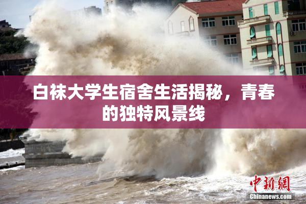 白袜大学生宿舍生活揭秘，青春的独特风景线