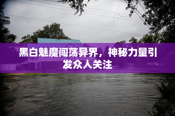 黑白魅魔闯荡异界，神秘力量引发众人关注