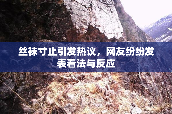 丝袜寸止引发热议，网友纷纷发表看法与反应
