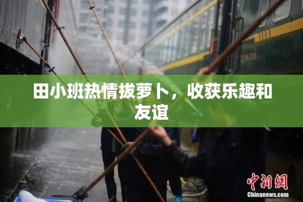 田小班热情拔萝卜，收获乐趣和友谊