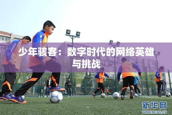 少年骇客：数字时代的网络英雄与挑战