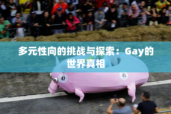 多元性向的挑战与探索：Gay的世界真相