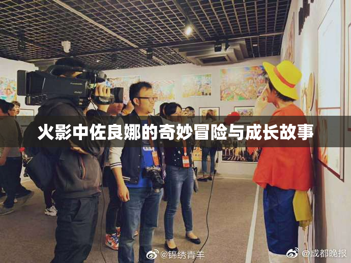 火影中佐良娜的奇妙冒险与成长故事