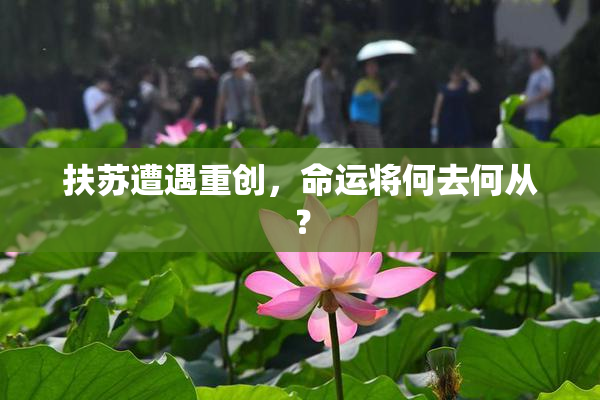 扶苏遭遇重创，命运将何去何从？