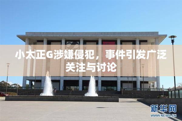 小太正G涉嫌侵犯，事件引发广泛关注与讨论