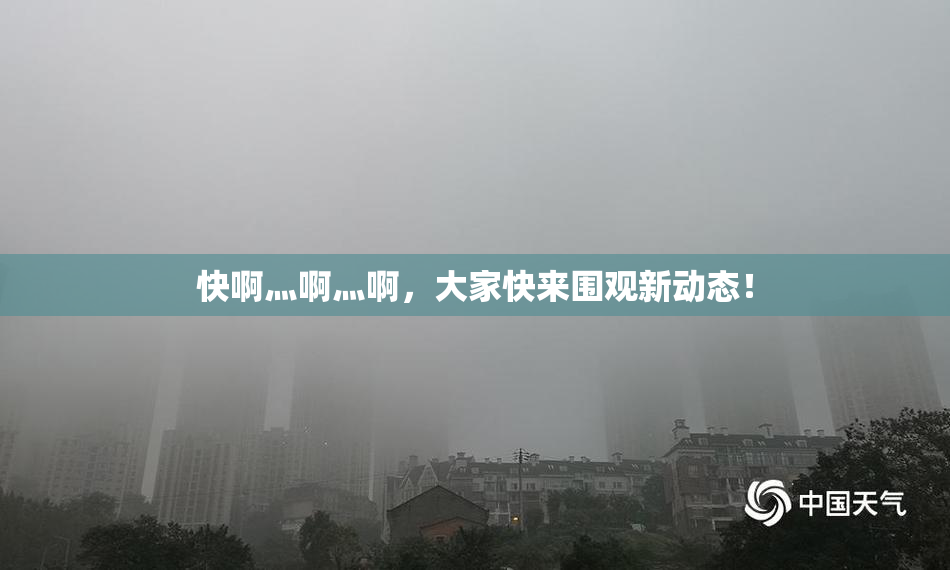 快啊灬啊灬啊，大家快来围观新动态！