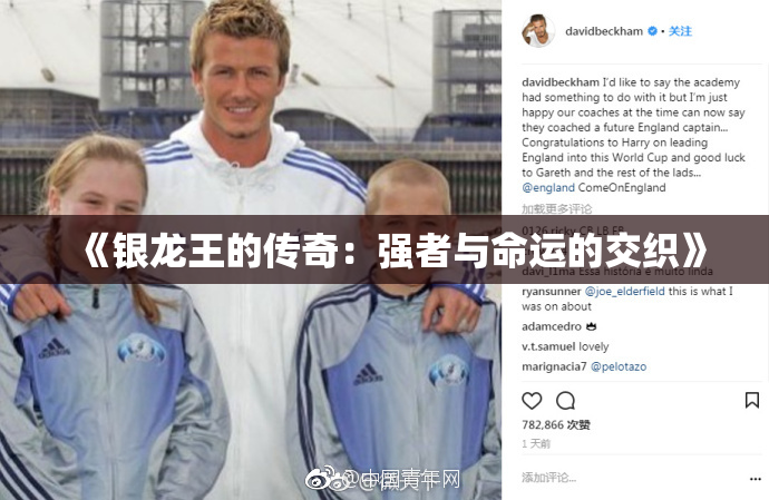 《银龙王的传奇：强者与命运的交织》