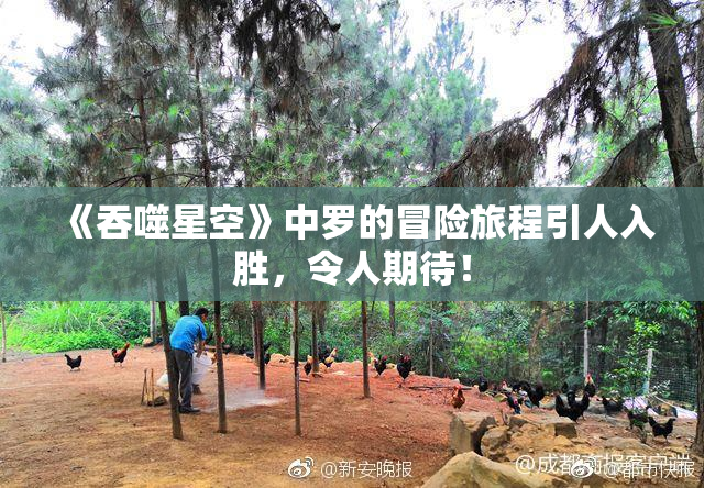 《吞噬星空》中罗的冒险旅程引人入胜，令人期待！