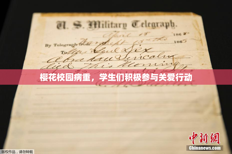 樱花校园病重，学生们积极参与关爱行动