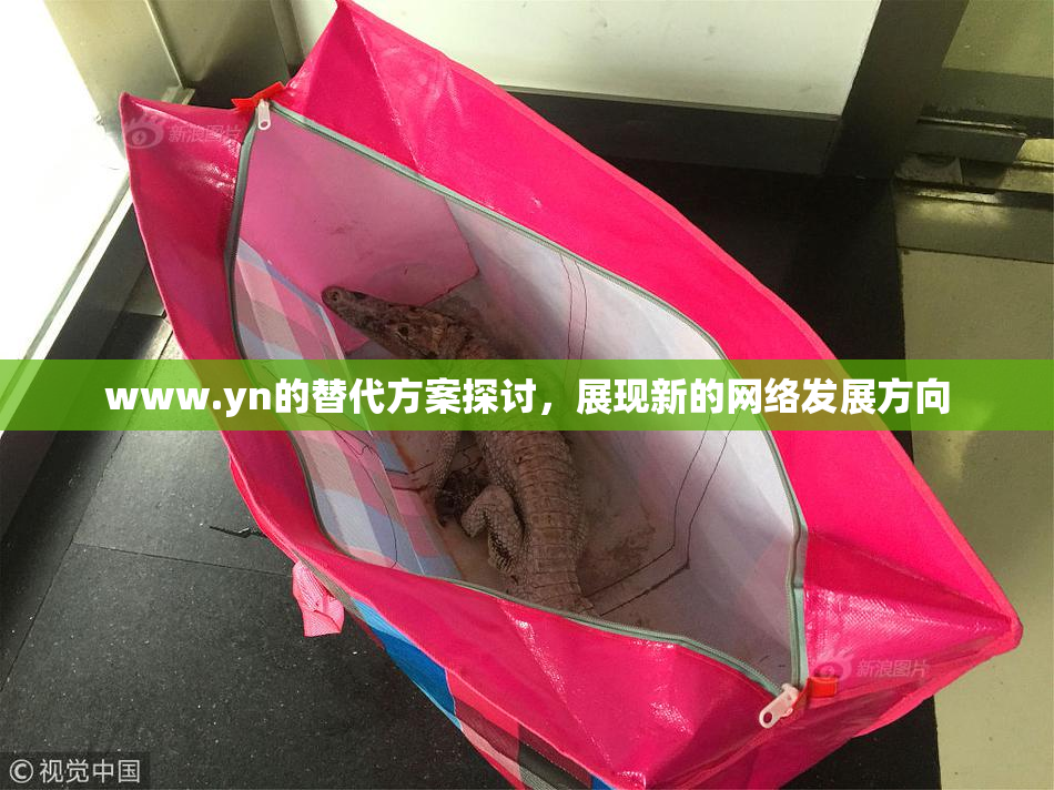 www.yn的替代方案探讨，展现新的网络发展方向