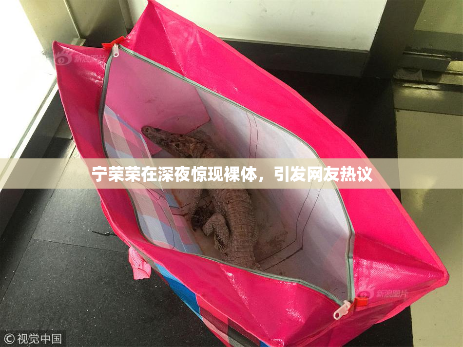 宁荣荣在深夜惊现裸体，引发网友热议
