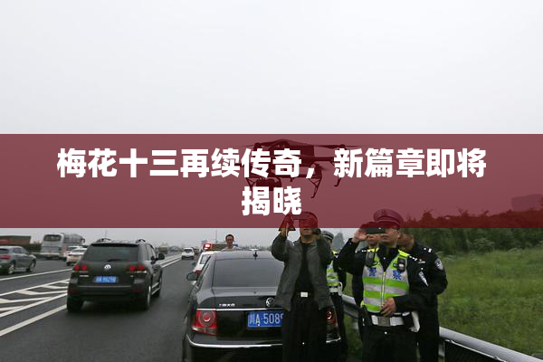 梅花十三再续传奇，新篇章即将揭晓