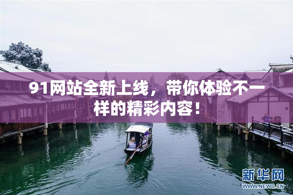 91网站全新上线，带你体验不一样的精彩内容！
