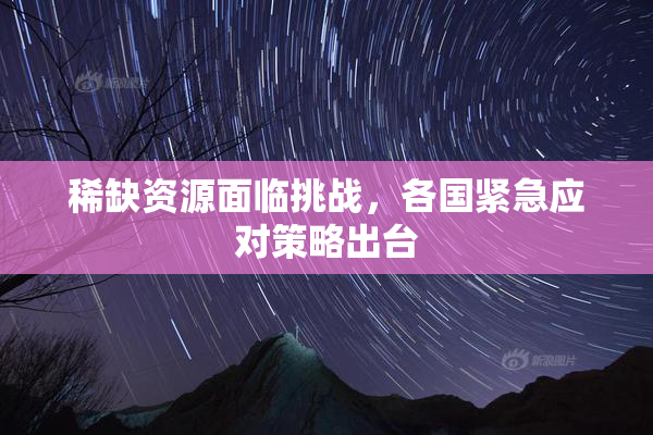稀缺资源面临挑战，各国紧急应对策略出台