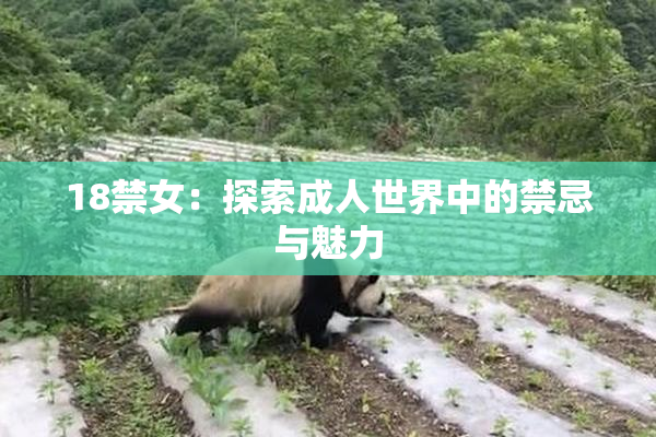 18禁女：探索成人世界中的禁忌与魅力