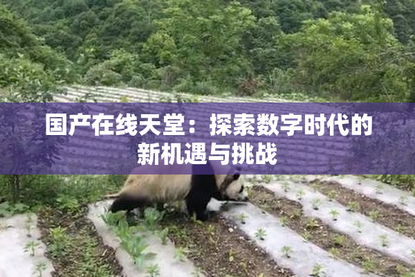 国产在线天堂：探索数字时代的新机遇与挑战