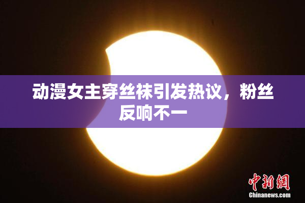 动漫女主穿丝袜引发热议，粉丝反响不一