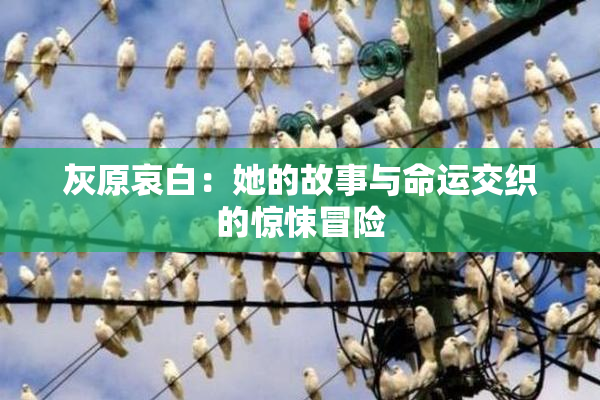 灰原哀白：她的故事与命运交织的惊悚冒险