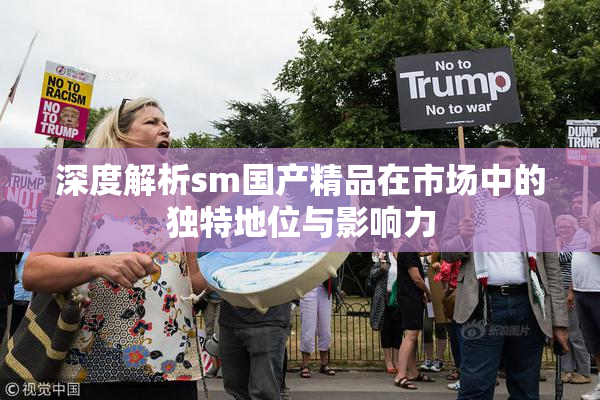 深度解析sm国产精品在市场中的独特地位与影响力