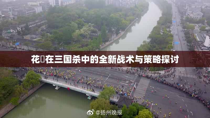 花鬘在三国杀中的全新战术与策略探讨