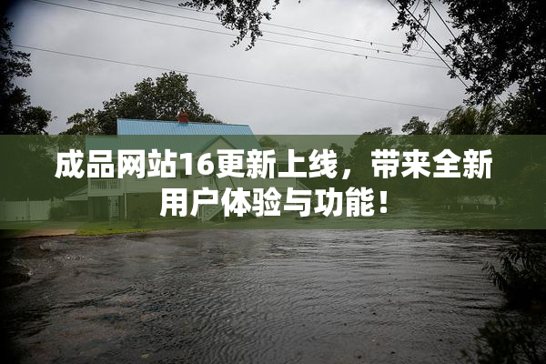成品网站16更新上线，带来全新用户体验与功能！