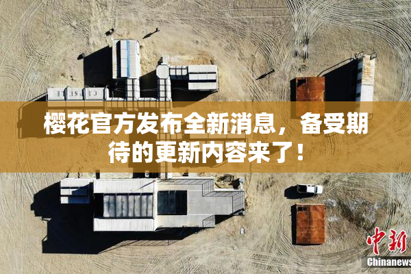 樱花官方发布全新消息，备受期待的更新内容来了！