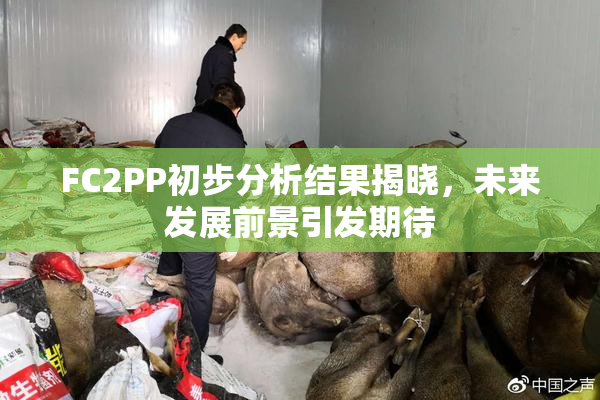 FC2PP初步分析结果揭晓，未来发展前景引发期待