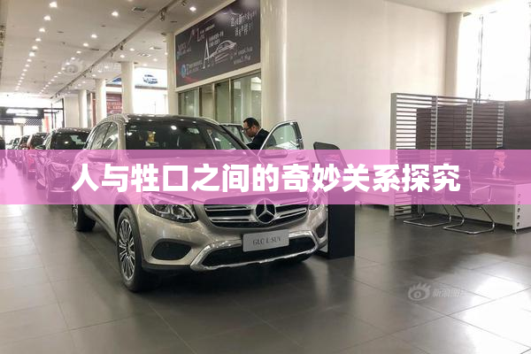 人与牲口之间的奇妙关系探究