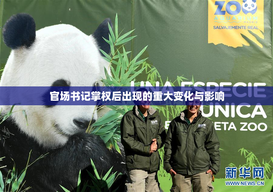 官场书记掌权后出现的重大变化与影响